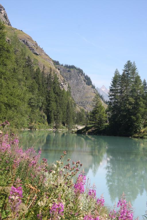 Villa Colettine Tignes Exterior foto